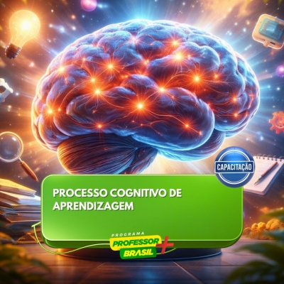 Processo Cognitivo de Aprendizagem